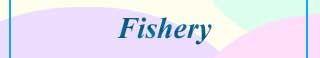 FISHERY FARMING COLLEGES AND COURSES IN INDIA