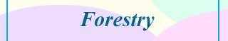 FORESTRY COLLEGES AND COURSES IN INDIA