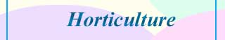 HORTICULTURE COLLEGES AND COURSES IN INDIA
